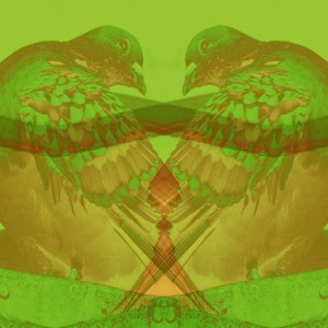 Dirt 1 - C-Type Print