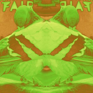 Dirt 4 - C-Type Print