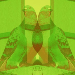 Dirt 7 - C-Type Print