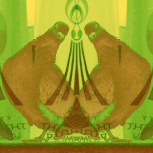 Dirt 8 - C-Type Print