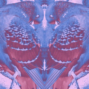 LONDIRT 1 -C-Type Print