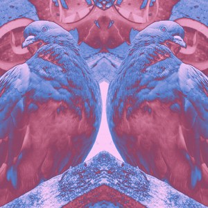 LONDIRT 3 - C-Type Print